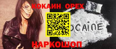 твердый Кингисепп
