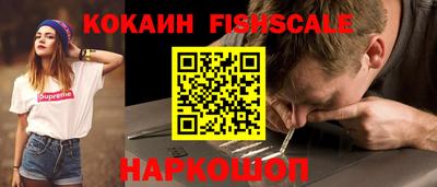 твердый Кингисепп