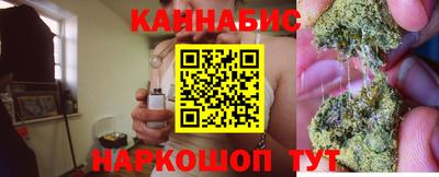 твердый Кингисепп