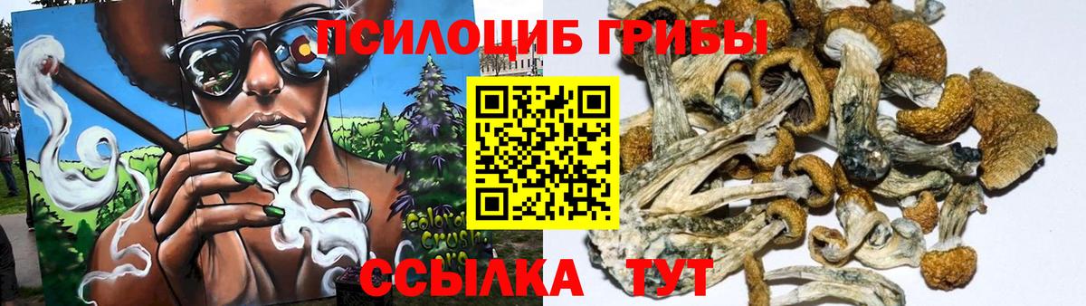 Галлюциногенные грибы MAGIC MUSHROOMS  Вход с VPN  Галлюциногенные грибы MAGIC MUSHROOMS  Кисловодск 