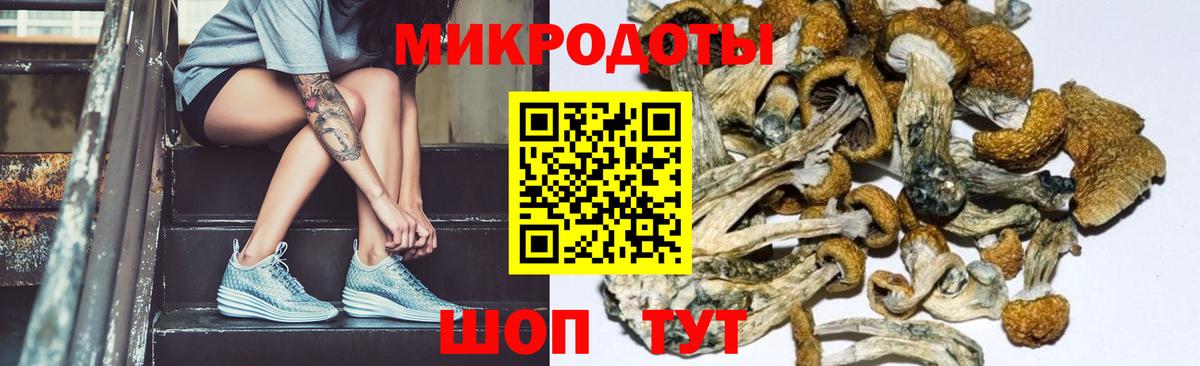 Псилоцибиновые грибы ЛСД Кисловодск